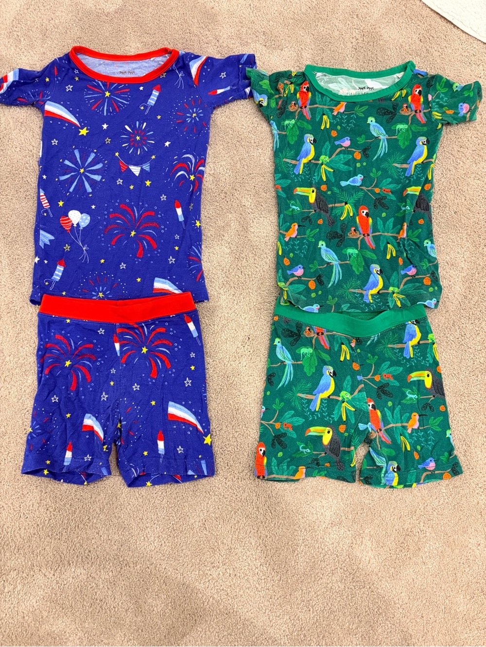 Little Sleepies 2 pc short set